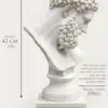 Hercules-CGPT-1000x1500px-12 Hercules Ca.320-330BC
