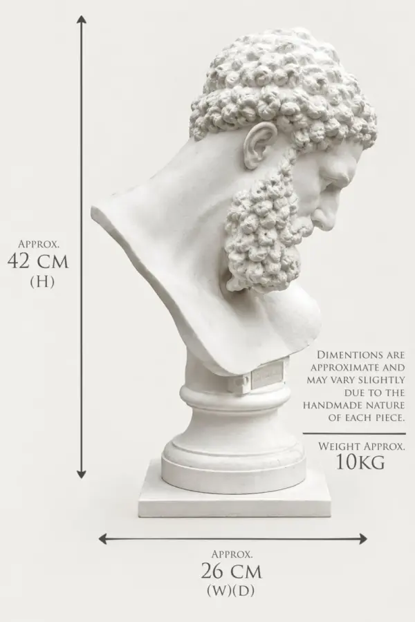 Hercules-CGPT-1000x1500px-12 Hercules Ca.320-330BC