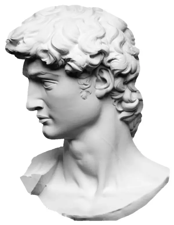 michaelangelo's david